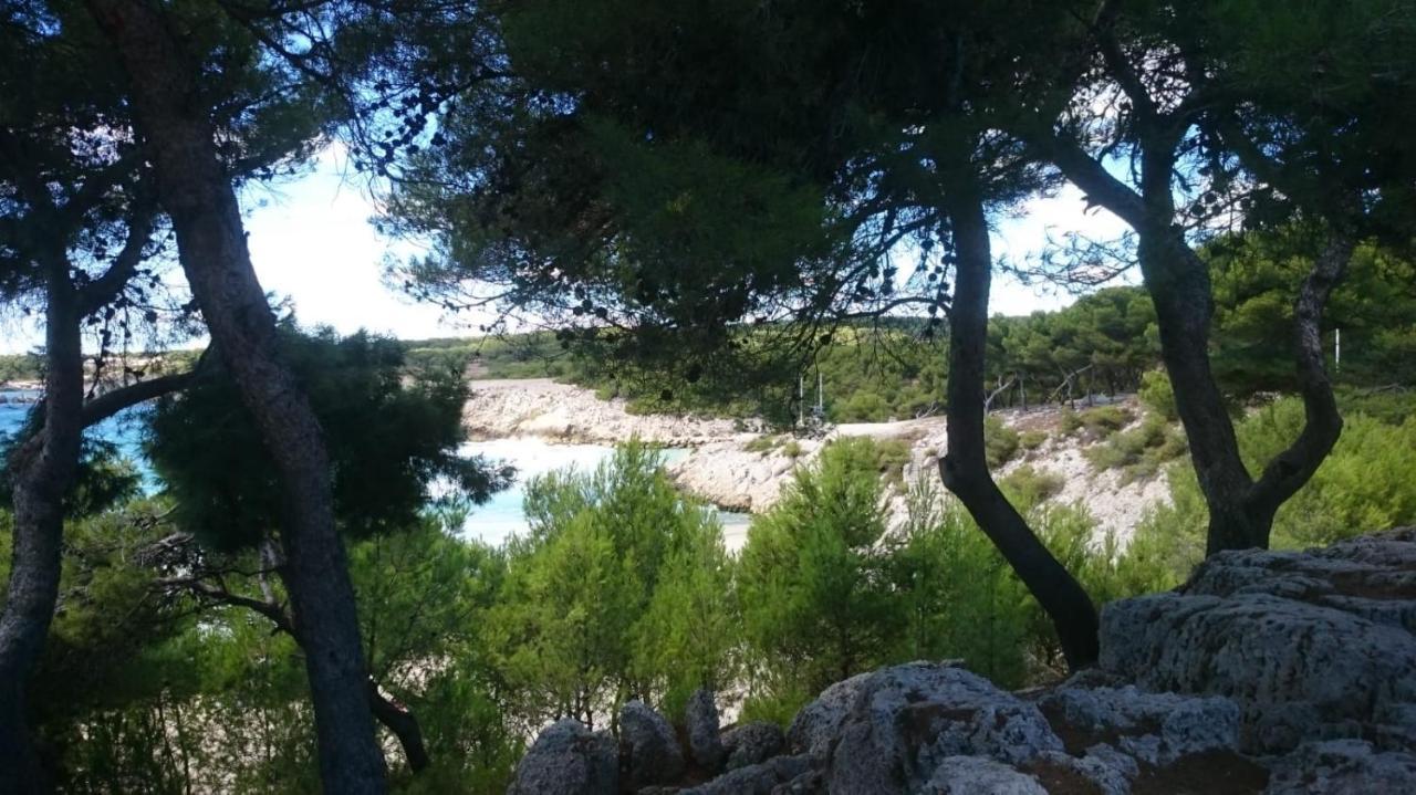 Appartement Vue Mer Le Chant Des Cigales Sausset-les-Pins Luaran gambar